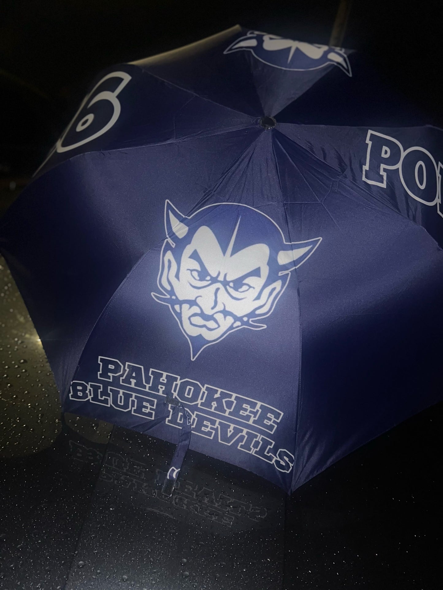 Custom Umbrella