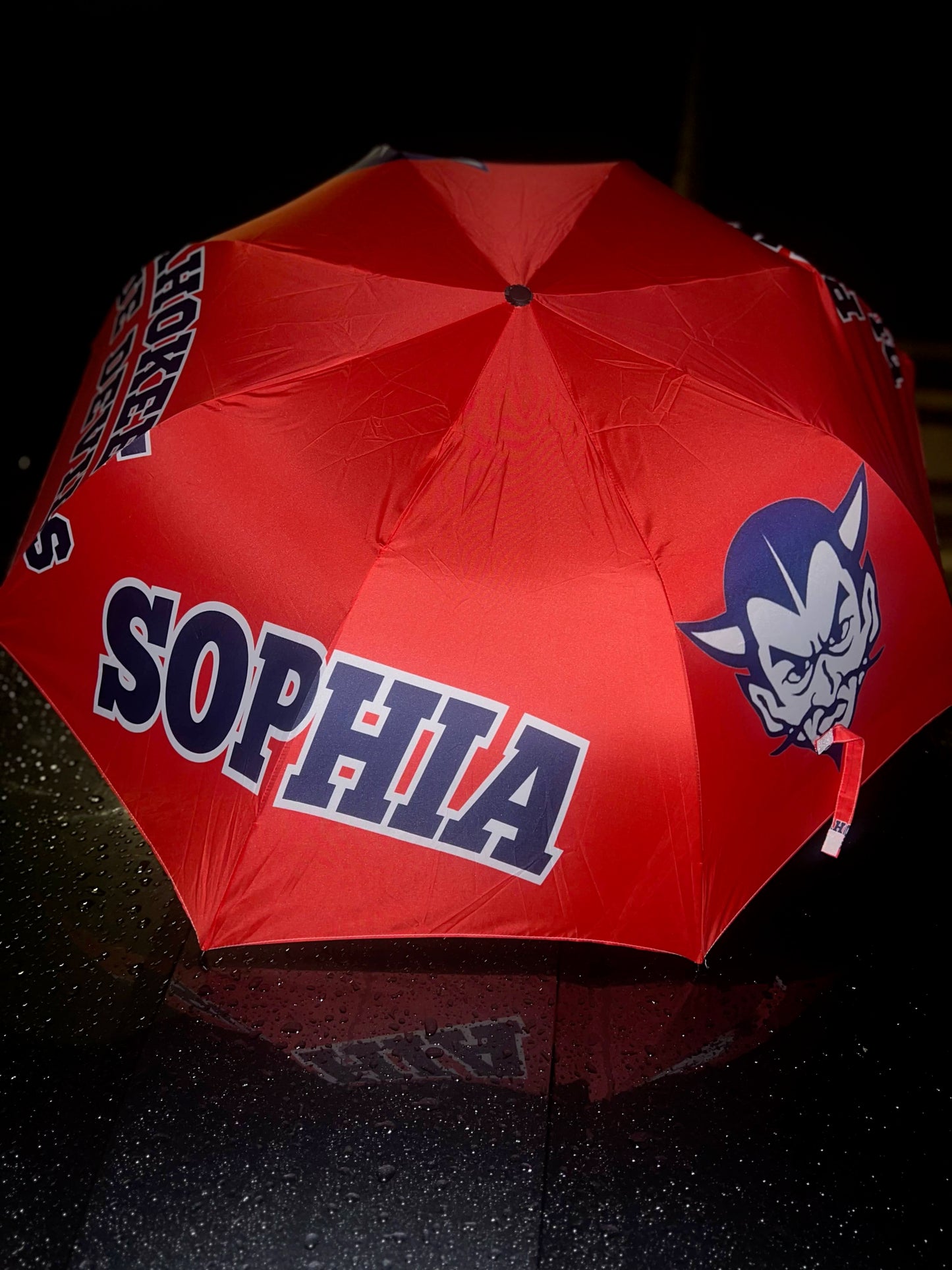 Custom Umbrella